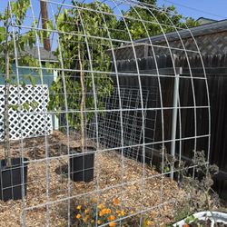 Cattle Panel Fencing