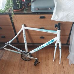 CANNONDALE synapse 18" Frame SET