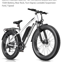 E-Bike Electric Bike 