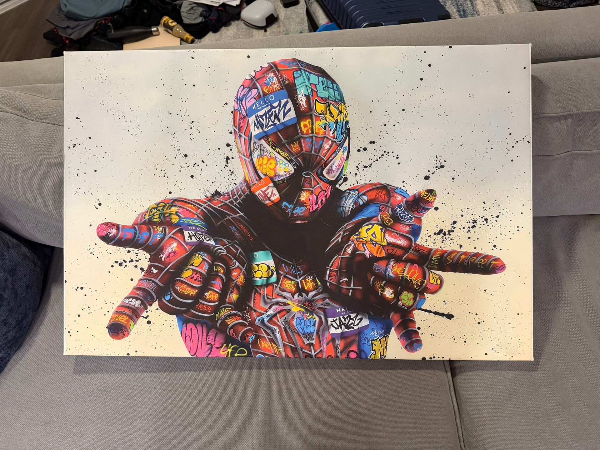 Spider-Man Graffiti Mounted Canvas