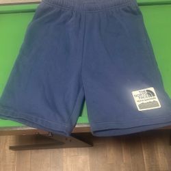 The North Face Shorts