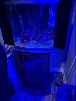 Jbj 28 gallon fish tank
