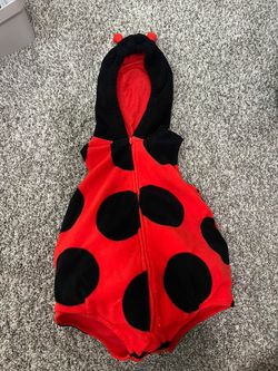 Ladybug Costume
