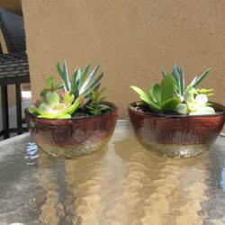 Set Of Brown/Green Garden Pots With Succulents 