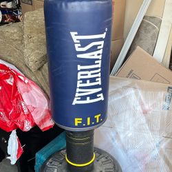 Everlast Punching Bag 