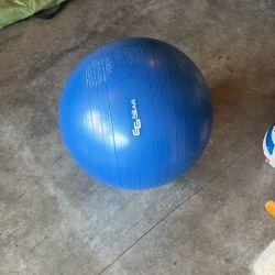 Exercise Ball 
