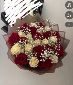 25 rose bouquet
