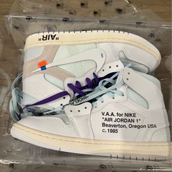 Nike Alaska Jordan 1