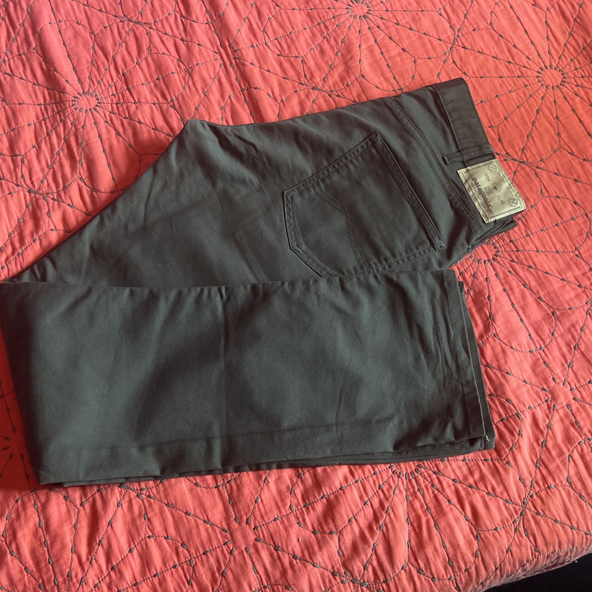 Patagonia Men’s Pants