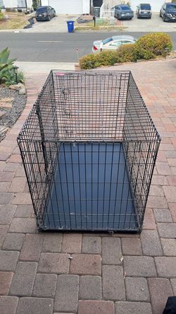 Large Dog Kennel