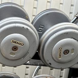 Ivanco 60 lb Dumbbells 