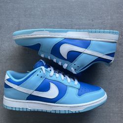 Nike Dunk Low Argon