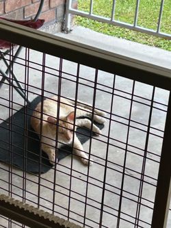 Pet gate