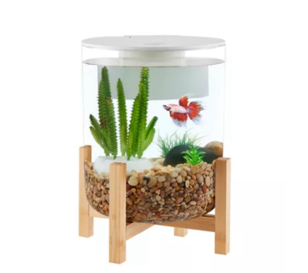 3 Gallon Fish Tank