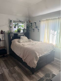 Full Size Black Storage Bed Frame with Bookcase Headboard & 7 Drawers