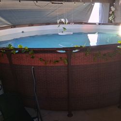 Sbove Ground Pool  48" Tall By 18 Feet Round