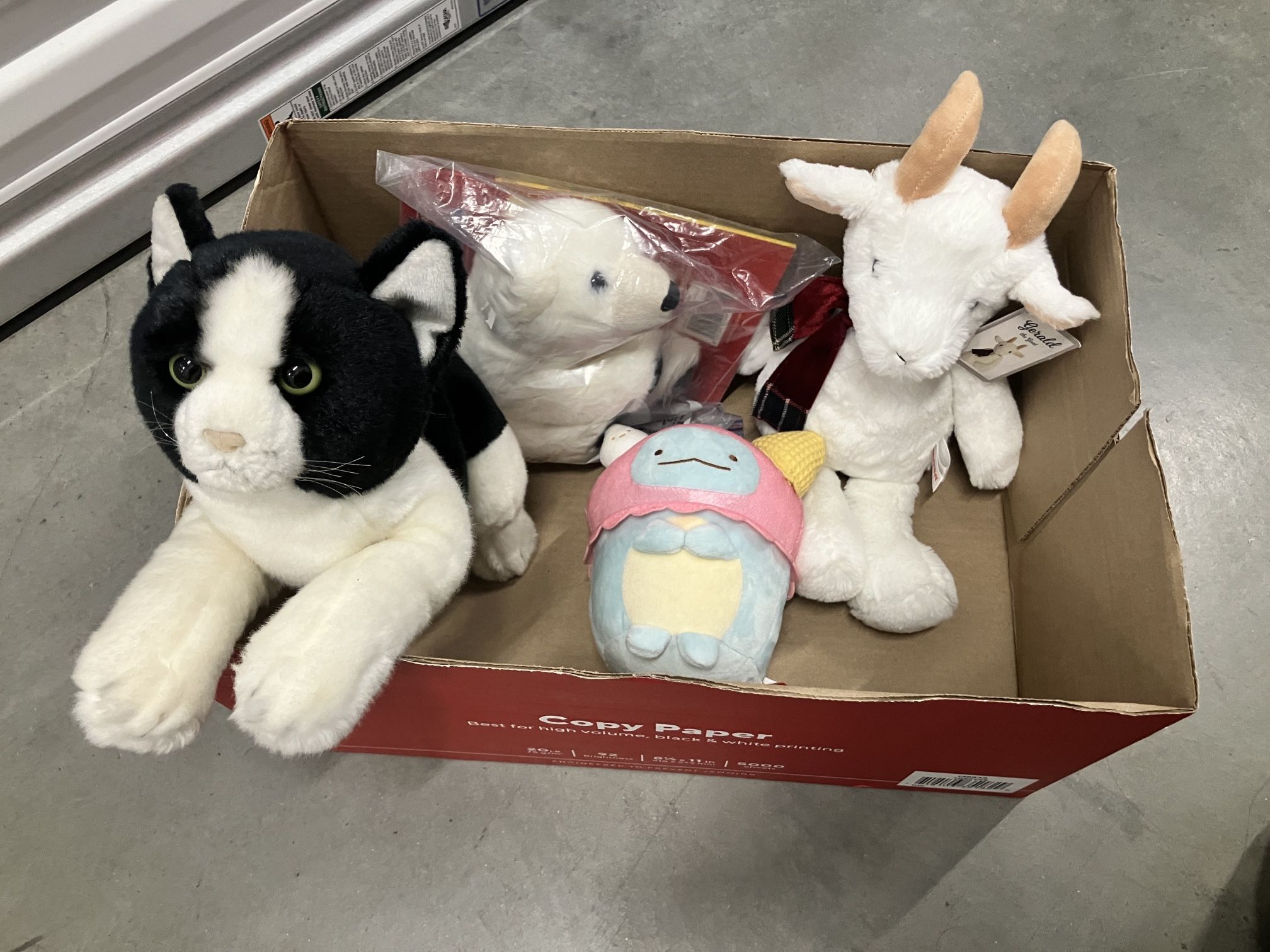 Stuffed Animals Plushies On Sale -$10 Each