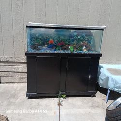 Fish Tank With Aceeseories 