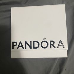Pandora Earring And Necklace Set