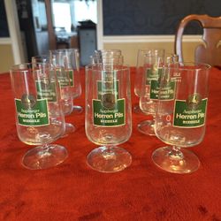 Vintage Augsburger Herren Pils Riegele 0.5L Beer Steins – Set of 9