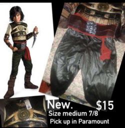 Princess pirate costume