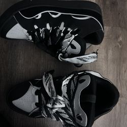 Lanvins Reflective