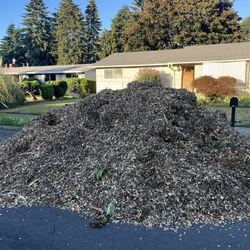 Free Wood Chips - You Haul