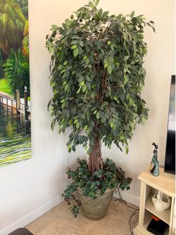 FREE Large Artificial Ficus Tree with Decorative Planter – Must Go Today
