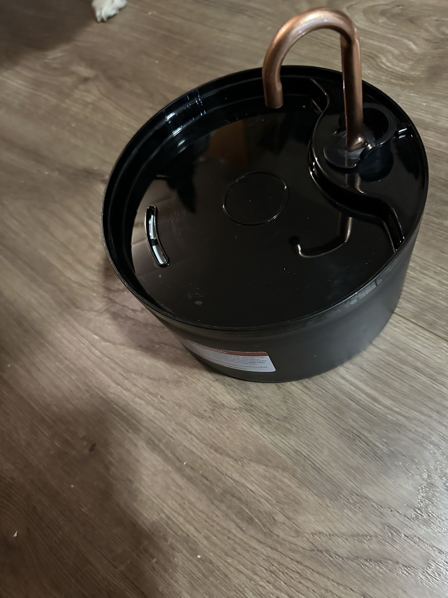 Cat Drinking Fountain