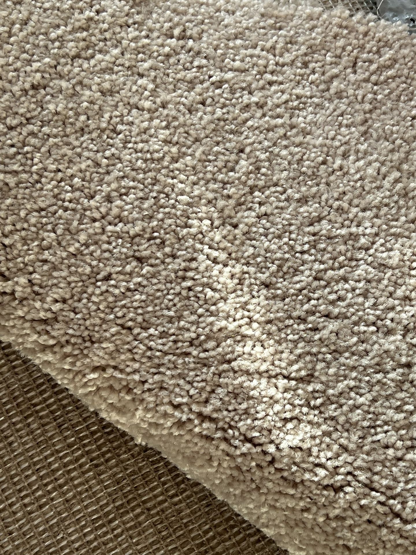 Carpet 12x30