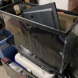 29  And A 10 Gallon Fish Tank