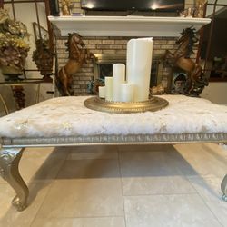 Very  Gorgeous  Coffee Table 