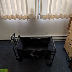 Folding Wagon
