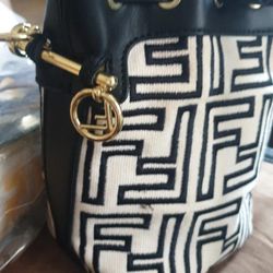 The Fendi Bucket 