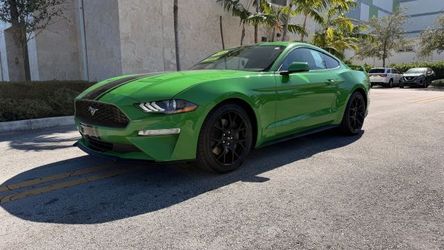 2019 Ford Mustang
