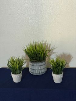 Artificial Plants with Pots for Home Decor