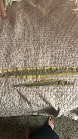 Snake skin
