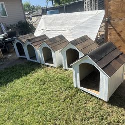 Small Dog Houses 