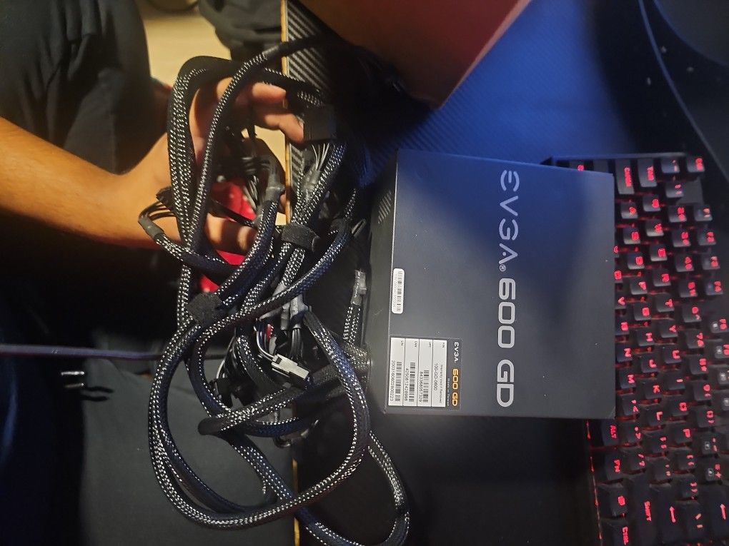 EVGA 600 GD