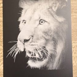 Custom Aluminum Business Cards 