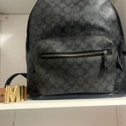 Coach Bag /size L 