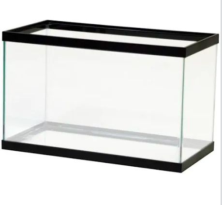 10 Gallon Aquarium