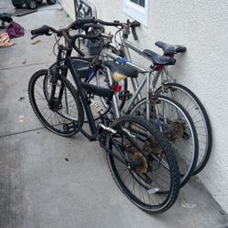 Mountain Bike/Bicycles