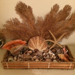 Seashell Decoration