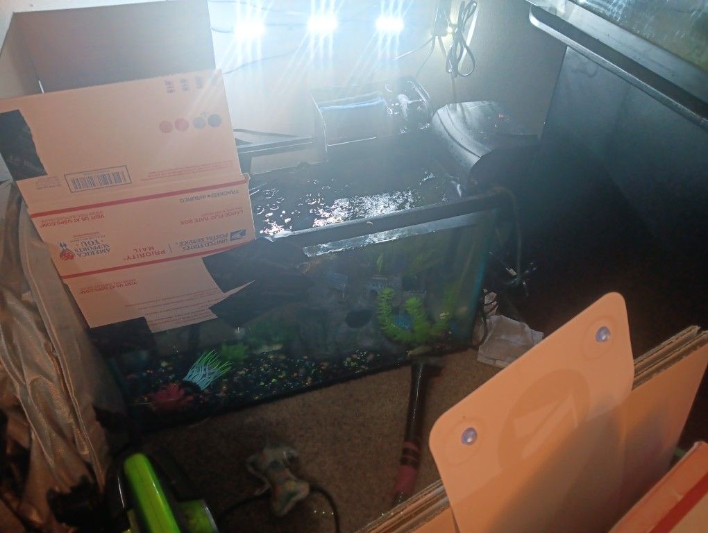 30 Gallon Aquarium