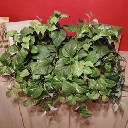 Artificial Pothos Plant in Brass Planter