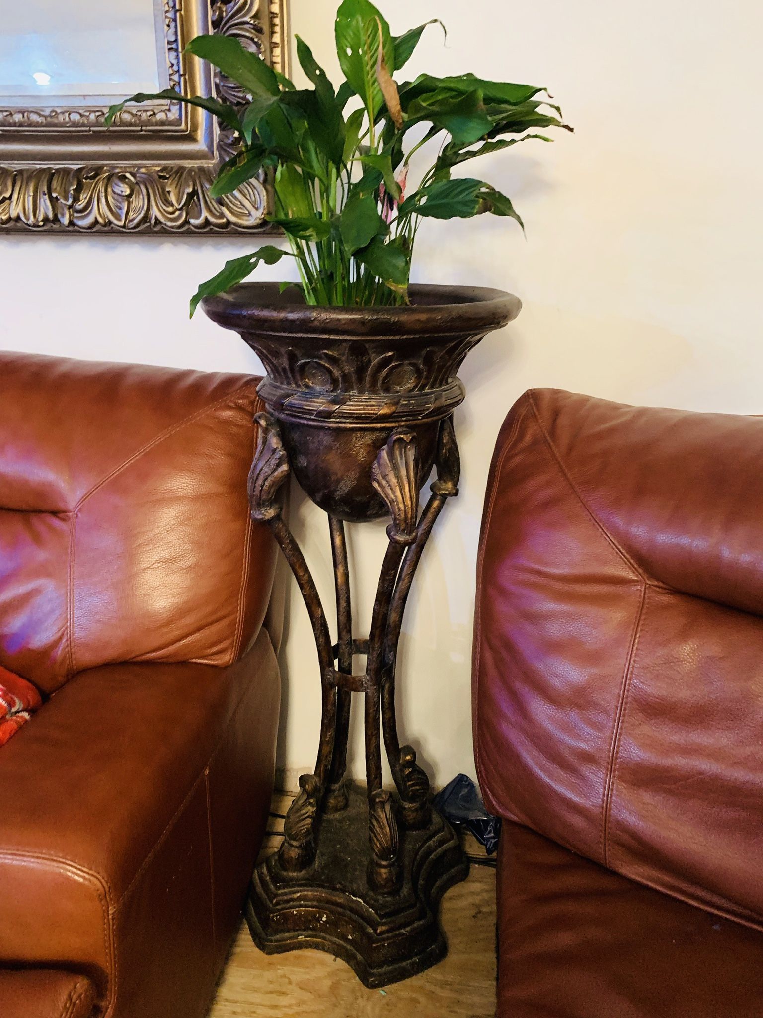 Plant Holder Beautiful Two Available Price Is For Each