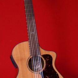 Breedlove Studio C250/SM-12 string Guitar