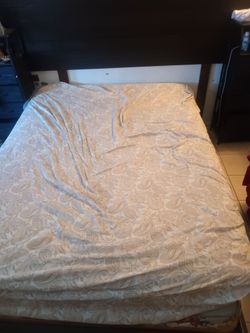 Cama free