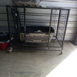 Dog Or Cat Crates, (Enclosure S)